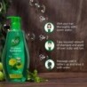 Nyle Naturals Dryness Hydration Shampoo, with Tulsi, Amla and Aloe