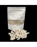 OrgoNutri Gum Tragacanth (Edible Gum) 100g for cooking sweets