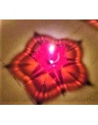 Satvik Designer Multicolour Floating Reflection Acrylic Diyas,Set of 4