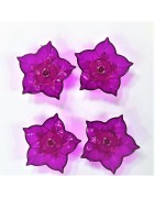 Satvik Designer Multicolour Floating Reflection Acrylic Diyas,Set of 4