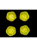 Satvik Designer Multicolour Floating Reflection Acrylic Diyas For Diwali Festival, Colourful Diwali diyas, Set of 4