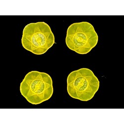 Satvik Designer Multicolour Floating Reflection Acrylic Diyas For Diwali Festival, Colourful Diwali diyas, Set of 4