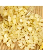 OrgoNutri Snow Lotus Seeds, Saponin Rice, zào jiǎo mǐ, 100g