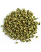 OrgoNutri Whole Sichuan Green Peppercorn, sì chuān qīng huā jiāo, 100g