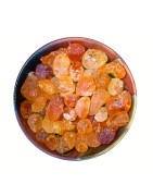 Satvik Acacia Gum, Gond Katira, Arabic Gum, Indian Edible Gum (Babool ka Gond),100g for Cooking Sweets