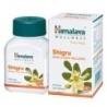 Himalaya Shigru Bone & Joint Wellness Tablets (60 Tablets)