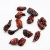 Satvik world Hottest Chilli Bhut Jolokia Chilli Dried (Whole) Ghost Pepper Chilli 25g, Pungency 4,50,000 SHU from India