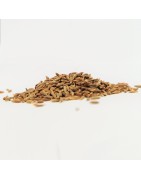 Satvik Whole Cumin Seeds (Jeera), Spice Of India, 1 Pack Of 200gm
