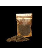 Satvik Whole Cumin Seeds (Jeera), Spice Of India, 1 Pack Of 200gm