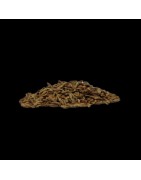Satvik Whole Cumin Seeds (Jeera), Spice Of India, 1 Pack Of 200gm