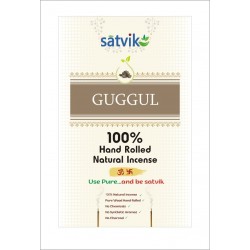 Satvik Assorted Incense Sticks (Agarbatti)  250g (10 Packet of 25g each)