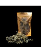 Satvik Stone Flower Spice Pathar Phool Dagad Phool Kalpasi 25gm, For Your Daily Cooking biryani