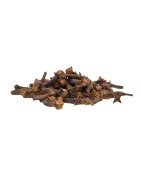 Satvik Premium Quality Whole Cloves (Laung,Lavang) Spice Of India,100gm