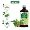 Dabur Giloy Neem Juice with Tulsi - Immunity Booster, Pure, Natural