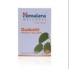 Himalaya Guduchi Immunity Wellness Tablets (60 Tablets)