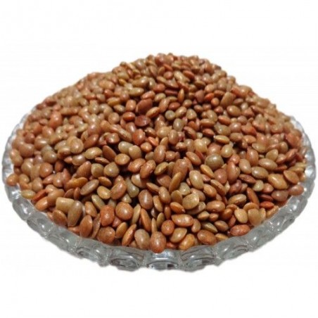 OrgoNutri Horse Gram Seeds (Whole), 500g, Kulith, Kulthi Seeds