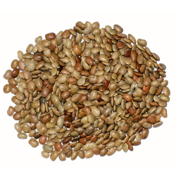 OrgoNutri Horse Gram Seeds (Whole), 500g, Kulith, Kulthi Seeds