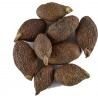 OrgoNutri Umas Mangu Whole, Malva Nut, Niranjan Phal, 100g