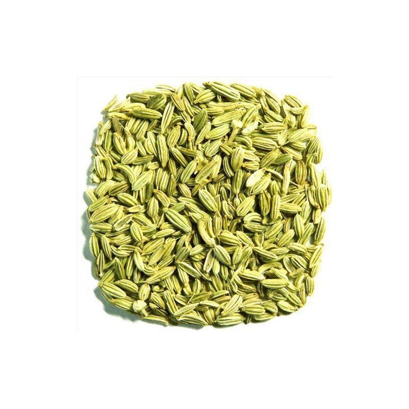 OrgoNutri Dried Whole Fennel Seeds Small, Barik Lucknowi Saunf, 200g