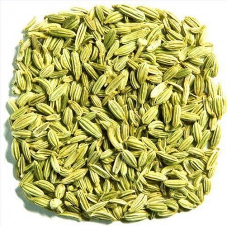 OrgoNutri Dried Whole Fennel Seeds Small, Barik Lucknowi Saunf, 200g