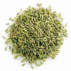 OrgoNutri Dried Whole Fennel Seeds Small, Barik Lucknowi Saunf, 200g