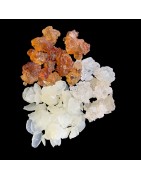 OrgoNutri Collagen Combo Pack of Snow Lotus Seed 100g, Gum Tragacanth 100g, Peach Gum 100g