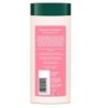 Biotique Creamy Coconut Deep Nourish Body Lotion for Extra Dry Skin