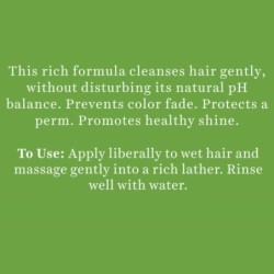Biotique Bio Soya Protein Fresh Nourishing Shampoo, for Dry, Damaged