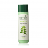Biotique Bio Neem Margosa Anti-Dandruff Shampoo and Conditioner, 190ml