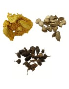 AyurNutri Combo Pack of Ponnatharam, Korai Kilangu & Garuda Kilangu (Whole), 100g Each