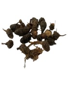 AyurNutri Korai Kilangu Roots (Whole) (Nutgrass), 100g