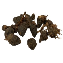 AyurNutri Korai Kilangu Roots (Whole) (Nutgrass), 100g