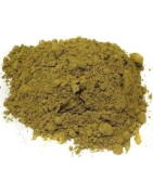 AyurNutri Adhatodai Churnam (Malabur Nut Powder), 100g