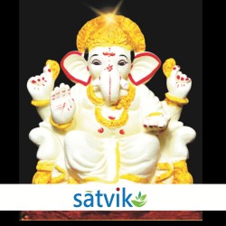 Satvik Eco Painted White...