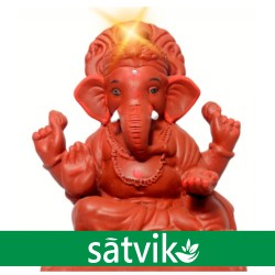 Satvik Natural Red Soil Eco...