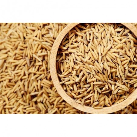Satvik Gehu Ke Dhan Ke Beej (Wheat Paddy Seeds), 100g For Puja & Religious Purposes
