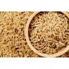 Satvik Gehu Ke Dhan Ke Beej (Wheat Paddy Seeds), 100g For Puja & Religious Purposes