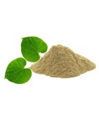 AyurNutri Guduchi Powder (Giloy, Amruthaballi Powder), 100g (Immunity Boost)