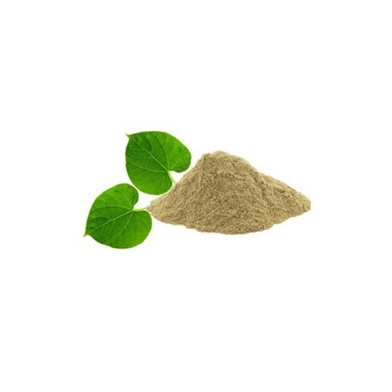 AyurNutri Guduchi Powder (Giloy, Amruthaballi Powder), 100g (Immunity Boost)