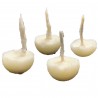 Satvik Pure Cow Ghee Wicks, Diya Batti, Jyot Batti For Puja, Aarti & Festivals, 50Pcs