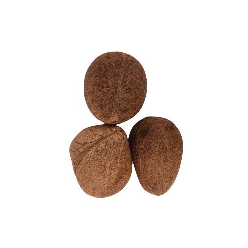 Satvik Dry Whole Coconut (Uncut, Non Edible) For Puja, Prayer & Hawan Purposes, Dry Copra, Nariyal