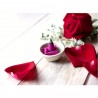 Satvik Rose Incense Cones For Puja And Prayer (Pack Of 50 Cones)