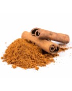 OrgoNutri Premium Quality Cinnamon Powder (Dalchini Powder), 100g