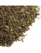 OrgoNutri Dried Dill Leaves, 35g (Dry Sua, Shepu Leaves), Seasoning Herb