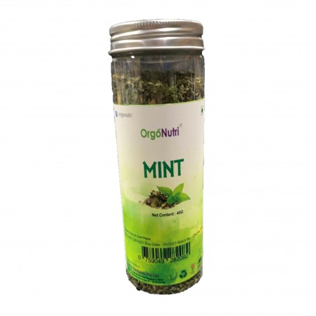 OrgoNutri Dried Mint Leaves, 40g (Dry Pudina Leaves), Seasoning Herb