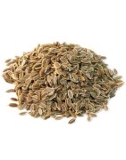 OrgoNutri Dill Seeds, Shepu, Sua Seeds (Sholpa, Soa), 100g