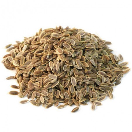 OrgoNutri Dill Seeds, Shepu, Sua Seeds (Sholpa, Soa), 100g