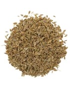OrgoNutri Dill Seeds, Shepu, Sua Seeds (Sholpa, Soa), 100g