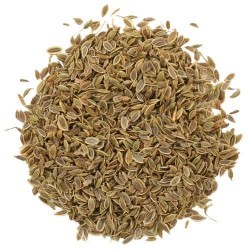 OrgoNutri Dill Seeds, Shepu, Sua Seeds (Sholpa, Soa), 100g