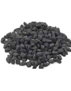 OrgoNutri Kalonji, Black Cumin Seeds (Kala Jeera, Nigella Seeds), 100g